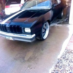 Meet your Posher, Jake